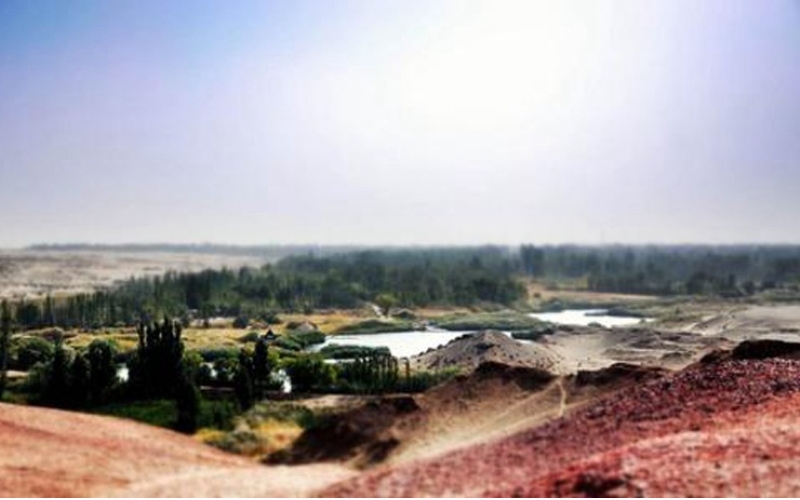 敦煌市2個(gè)村入列國家森林鄉村名單