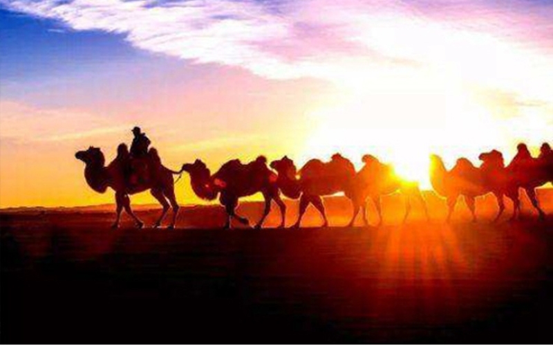 絲綢之路遺址保護高級培訓班圓滿(mǎn)結業(yè)