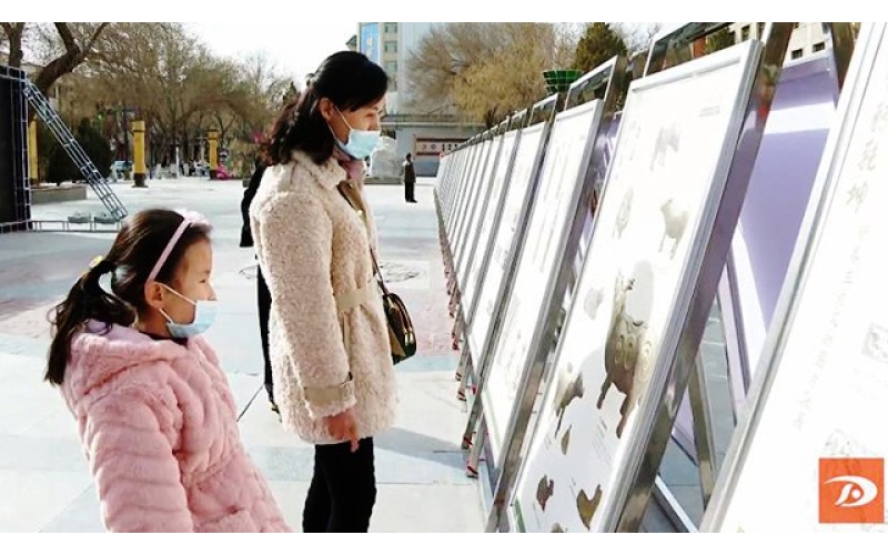 【網(wǎng)絡(luò )中國節·春節】新春生肖文物圖片聯(lián)展為敦煌市民送上文化餐